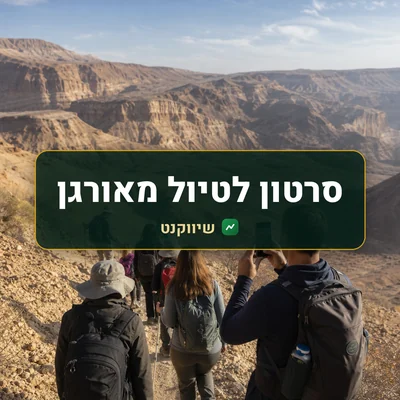 סרטון לטיול מאורגן: קבוצת מטיילים בעקבות מדריך בשביל מדברי בנגב, ואחד מהם מצלם בטלפון