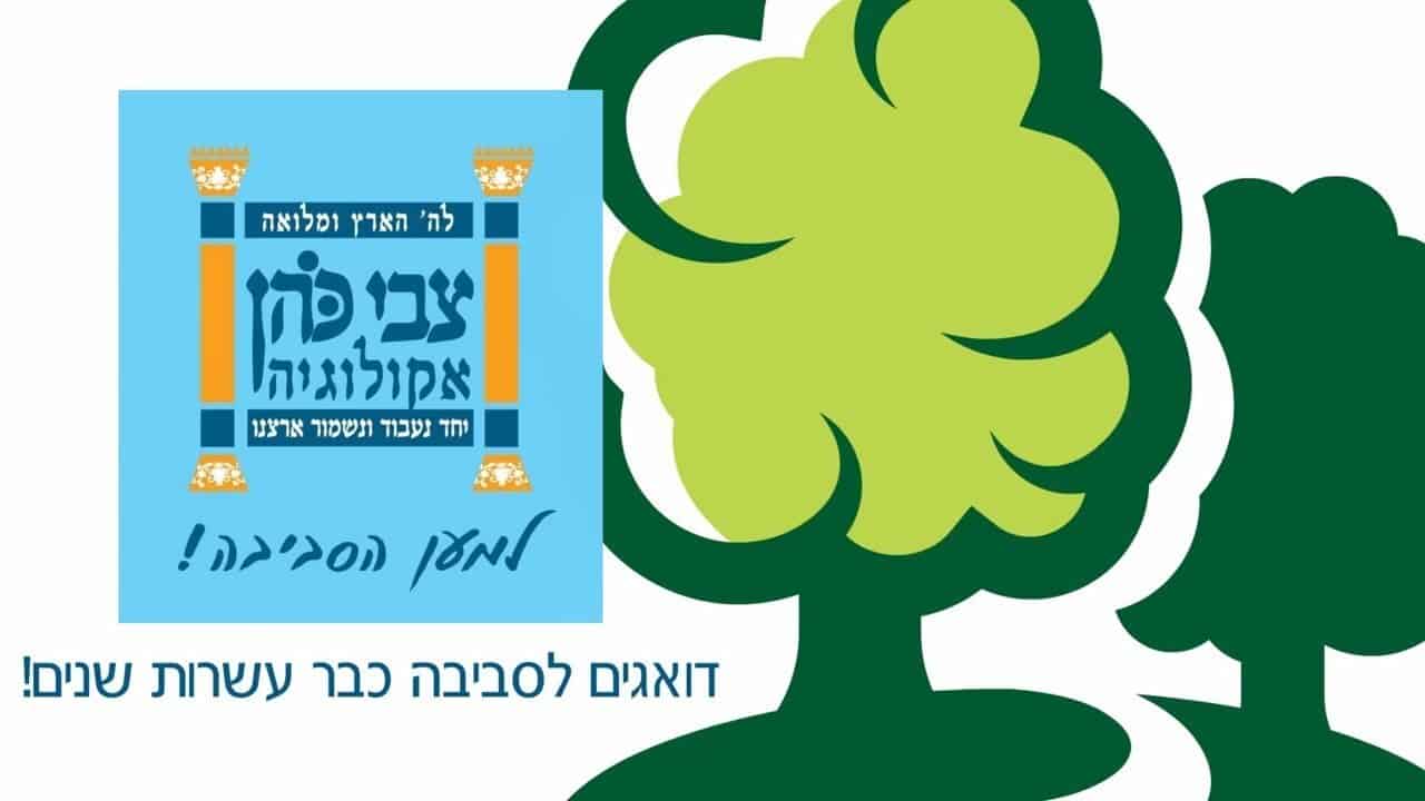 איך סרטון אנימציה לעסק הפך את צבי כהן אקולוגיה למותג מוביל בתחום ניהול הפסולת