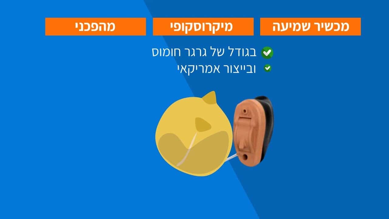 אנימציה עסקית שעובדת איך פטיפון מכשירי שמיעה הפכה מסר מורכב לסיפור מרתק שמוכר