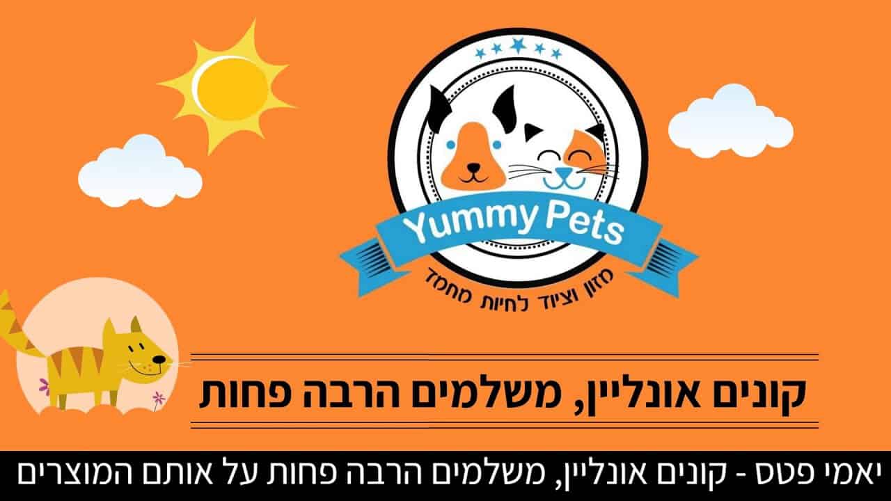 הפקת סרטון אנימציה ליאמי פטס המקרה שהכפיל המרות באמצעות סטוריטלינג חכם