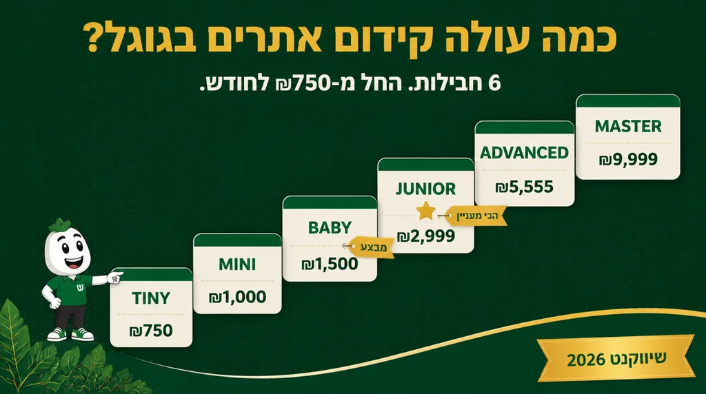 6 חבילות קידום אתרים אורגני בגוגל - TINY ₪750 עד MASTER ₪9,999. שיווקנט.